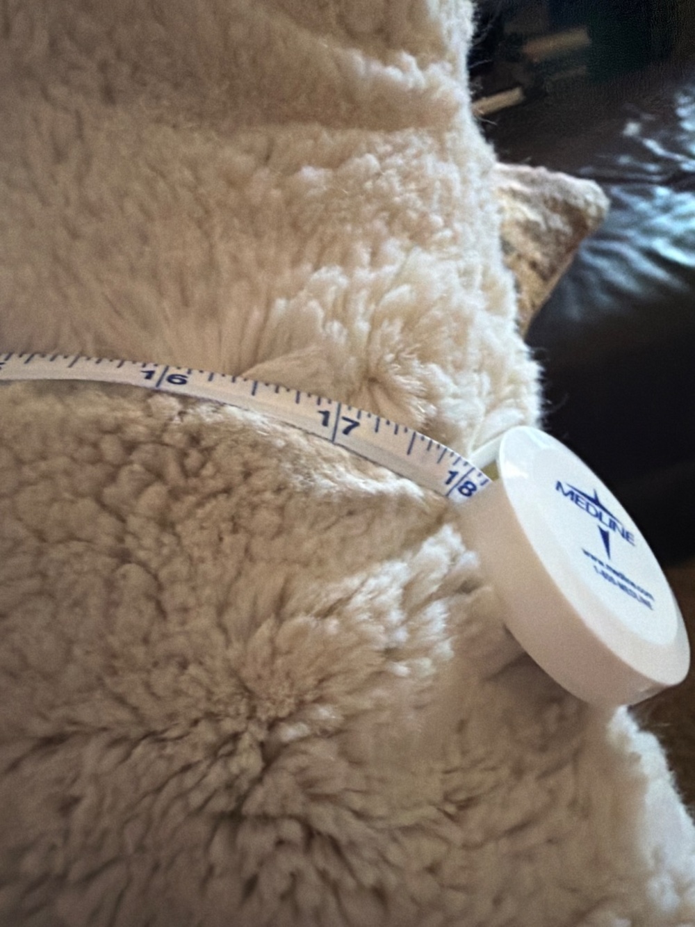 Pottery Barn Pillows - Picture 9 of 12